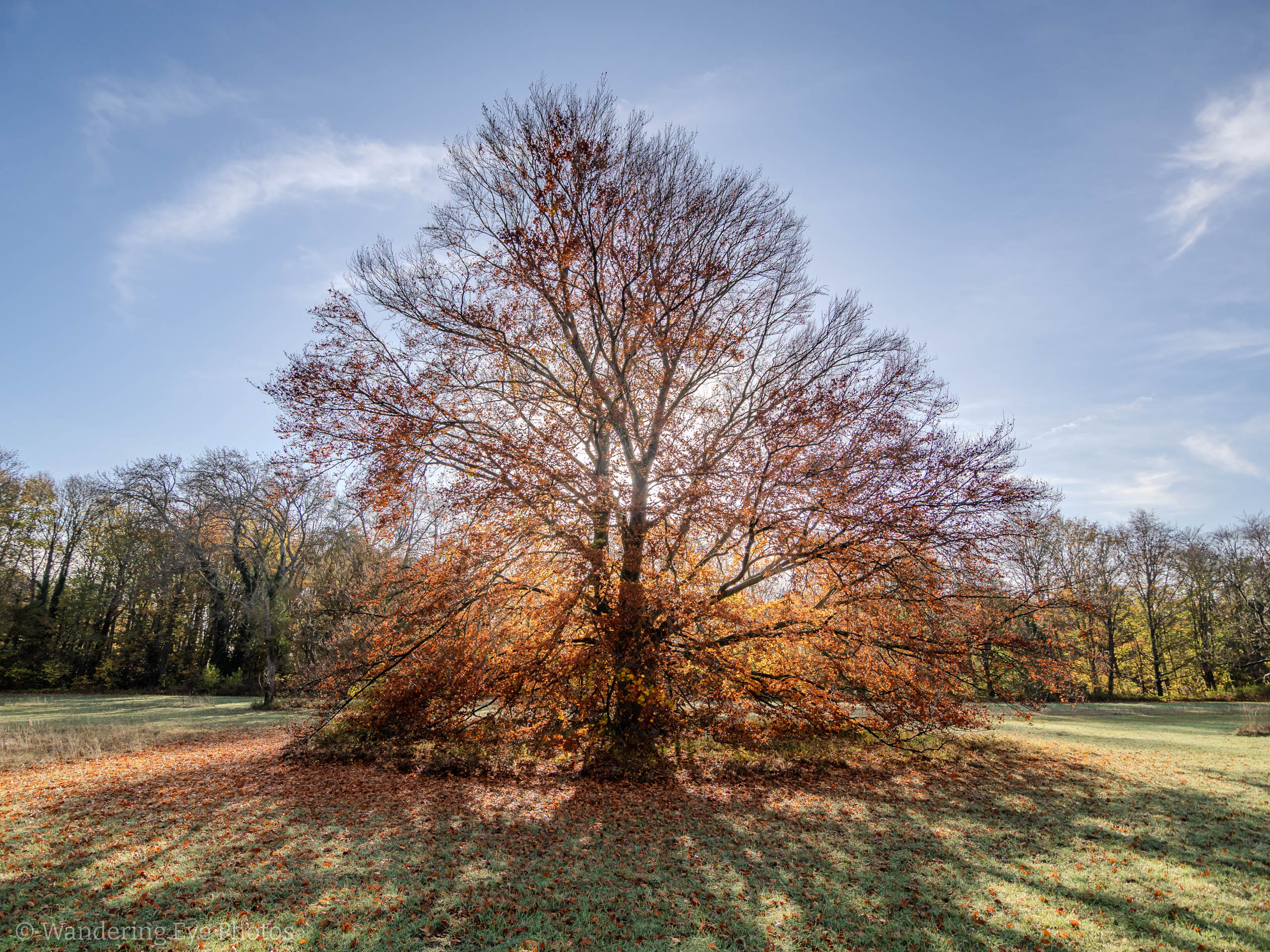 11.09 10.07.38   PB090018